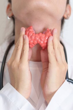 İnsan tiroit anatomisi modeli olan bir doktor. Hipertiroidizm, Hipotiroidizm, Hashimoto Thyroiditis, Tiroid Tümör ve Kanser, Doğum Sonrası, Papillary Karsinom ve Sağlık Konsepti