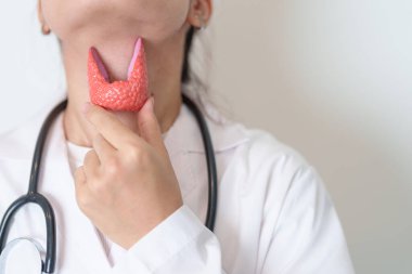 İnsan tiroit anatomisi modeli olan bir doktor. Hipertiroidizm, Hipotiroidizm, Hashimoto Thyroiditis, Tiroid Tümör ve Kanser, Doğum Sonrası, Papillary Karsinom ve Sağlık Konsepti