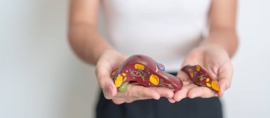 Woman holding human Liver anatomy model. Liver cancer and Tumor, Jaundice, Viral Hepatitis A, B, C, D, E, Cirrhosis, Failure, Enlarged, Hepatic Encephalopathy, Ascites Fluid in Belly and health clipart
