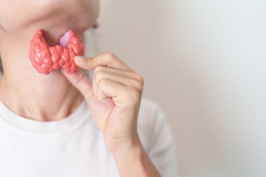 Boynuyla insan tiroit anatomisi modeli tutan bir kadın. Hipertiroidizm, Hipotiroidizm, Hashimoto Thyroiditis, Tiroid Tümör ve Kanser, Doğum Sonrası, Papillary Karsinom ve Sağlık Konsepti