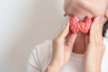 Boynuyla insan tiroit anatomisi modeli tutan bir kadın. Hipertiroidizm, Hipotiroidizm, Hashimoto Thyroiditis, Tiroid Tümör ve Kanser, Doğum Sonrası, Papillary Karsinom ve Sağlık Konsepti