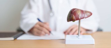 Karaciğer anatomisi modeli olan bir doktor. Karaciğer kanseri ve tümör, sarılık, Viral Hepatit A, B, C, D, E, Siroz, Başarısızlık, Büyümüş, Hepatik Ensefalopati, Karında Asit ve Sağlık Konsepti