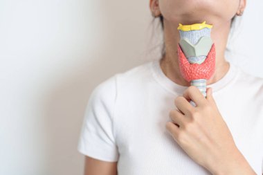 Boynuyla insan tiroit anatomisi modeli tutan bir kadın. Hipertiroidizm, Hipotiroidizm, Hashimoto Thyroiditis, Tiroid Tümör ve Kanser, Doğum Sonrası, Papillary Karsinom ve Sağlık Konsepti