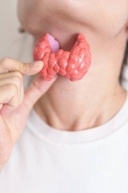 Boynuyla insan tiroit anatomisi modeli tutan bir kadın. Hipertiroidizm, Hipotiroidizm, Hashimoto Thyroiditis, Tiroid Tümör ve Kanser, Doğum Sonrası, Papillary Karsinom ve Sağlık Konsepti