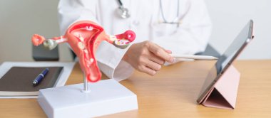 Rahim, yumurtalık, anatomi ve tablet doktoru. Yumurtalık ve rahim ağzı kanseri, rahim ağzı rahatsızlığı, endometriyozis, histerektomi, rahim fibroidi, üreme sistemi, hamilelik.