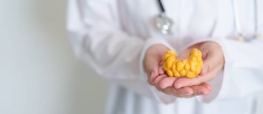 İnsan tiroit anatomisi modeli olan bir doktor. Hipertiroidizm, Hipotiroidizm, Hashimoto Thyroiditis, Tiroid Tümör ve Kanser, Doğum Sonrası, Papillary Karsinom ve Sağlık Konsepti