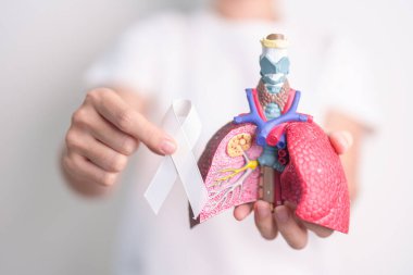 November Lung Cancer Awareness month. Doctor with Smoker Lung anatomy model and White ribbon in hospital. Healthcare and World Cancer day concept