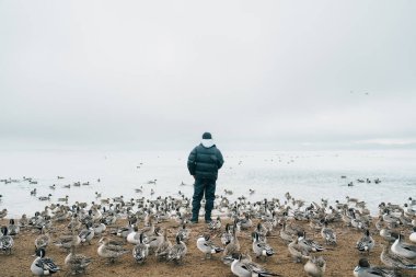 Erkek turist kışın Inawashiro Gölü 'nü gezer, gezgin ördekleri, kuğuları ve kuşları gezer Fukushima Bölgesi, Tohoku Bölgesi, Japonya. Tarihi eser seyahati ve macera tatili konsepti