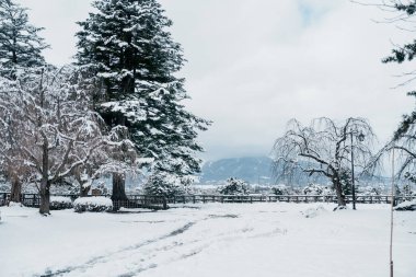 Snow landscape of Mount Iwaki from Hirosaki Castle in winter, Japanese castle located in Hirosaki city, Aomori Prefecture, Tohoku, Japan. Landmark for tourist attraction. Japan travel and vacation clipart