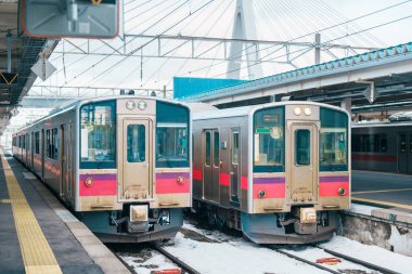 Japonya 'nın Aomori ilinin Aomori şehrindeki Aomori tren istasyonunda kışın pembe yerel tren..