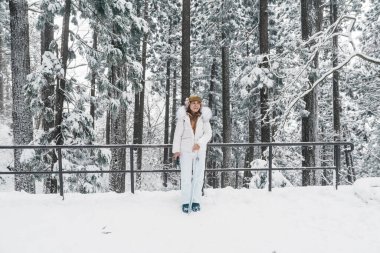 Kadın turist, kış mevsiminde çam ağaçlarının olduğu ormanı geziyor. Kış yolculuğu ve tatil konsepti