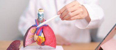 Doktor Point Smoker Lung Hastalığı için anatomi. Akciğer kanseri, astım, kronik obstrüktif akciğer veya kronik akciğer enfeksiyonu, bronşit, amfizem, kistik fibrozis, bronşizektazi, zatürree ve Eylül ayındaki dünya akciğer günü.