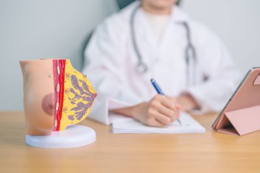 Göğüs anatomisi modeli olan bir doktor. Göğüs büyütme ameliyatı, Ekim Kanser Farkındalığı ayı, implant, teşhis, kadın büyütme ve tıp eğitimi konsepti.