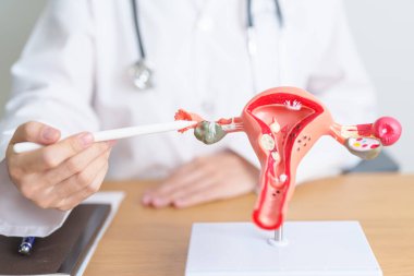 Rahim ve yumurtalık anatomisi olan bir doktor. Yumurtalık ve Rahim kanseri, Rahim ağzı hastalığı, Endometriyozis, Histektomi, Rahim fibroidi, Üreme Sistemi, Hamilelik ve Sağlık Konsepti