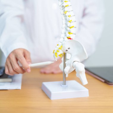 İnsan omurga anatomisi modeli olan bir doktor. Omurilik Bozukluğu ve Hastalık, Sırt Ağrısı, Lumbar, Sacral leğen kemiği, Servikal Boyun, Torasik, Coccyx, Ortopedi, Masaj, Ofis Sendromu ve Sağlık Sendromu