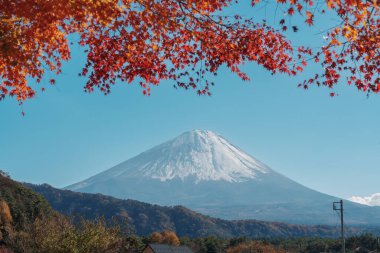 Sonbahar sezonunda Saiko Iyashino Sato Nenba 'da Fuji Dağı manzarası. Fujikawaguchiko Dağı, Yamanashi, Japonya. Turistler için dönüm noktası. Japonya Seyahat, Varış, Tatil ve Fuji Dağı Günü