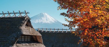 Sonbahar sezonunda Saiko Iyashino Sato Nenba 'da Fuji Dağı manzarası. Fujikawaguchiko Dağı, Yamanashi, Japonya. Turistler için dönüm noktası. Japonya Seyahat, Varış, Tatil ve Fuji Dağı Günü