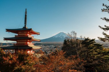 Mount Fuji view at Chureito Pagoda in Autumn season, Mt Fujisan in Arakurayama Sengen Park, Yamanashi, Japan. Landmark for tourists attraction. Japan Travel, Destination, Vacation and Mount Fuji Day clipart