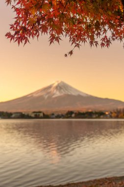 Sonbahar mevsiminde Kawaguchi Gölü 'nde Fuji Dağı manzarası. Fujikawaguchiko Dağı, Yamanashi, Japonya. Turistler için dönüm noktası. Japonya Seyahat, Varış, Tatil ve Fuji Dağı konsepti