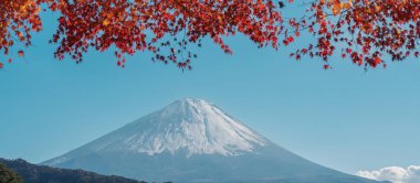 Mount Fuji view at Saiko Iyashino Sato Nenba in Autumn season. Mt Fujisan in Fujikawaguchiko, Yamanashi, Japan. Landmark for tourists attraction. Japan Travel, Destination, Vacation and Mount Fuji Day clipart