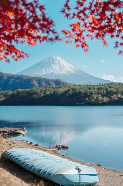 Sonbahar mevsiminde Saiko Gölü 'nde Fuji Dağı manzarası. Fujikawaguchiko Dağı, Yamanashi, Japonya. Turistler için dönüm noktası. Japonya Seyahat, Varış, Tatil ve Fuji Dağı konsepti