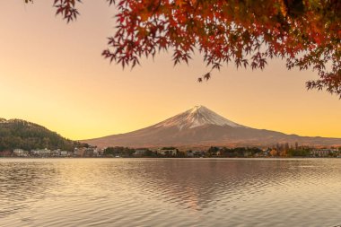 Sonbahar mevsiminde Kawaguchi Gölü 'nde Fuji Dağı manzarası. Fujikawaguchiko Dağı, Yamanashi, Japonya. Turistler için dönüm noktası. Japonya Seyahat, Varış, Tatil ve Fuji Dağı konsepti