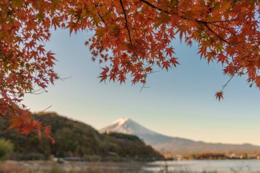 Sonbahar mevsiminde Kawaguchi Gölü 'nde Fuji Dağı manzarası. Fujikawaguchiko Dağı, Yamanashi, Japonya. Turistler için dönüm noktası. Japonya Seyahat, Varış, Tatil ve Fuji Dağı konsepti