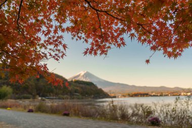Sonbahar mevsiminde Kawaguchi Gölü 'nde Fuji Dağı manzarası. Fujikawaguchiko Dağı, Yamanashi, Japonya. Turistler için dönüm noktası. Japonya Seyahat, Varış, Tatil ve Fuji Dağı konsepti