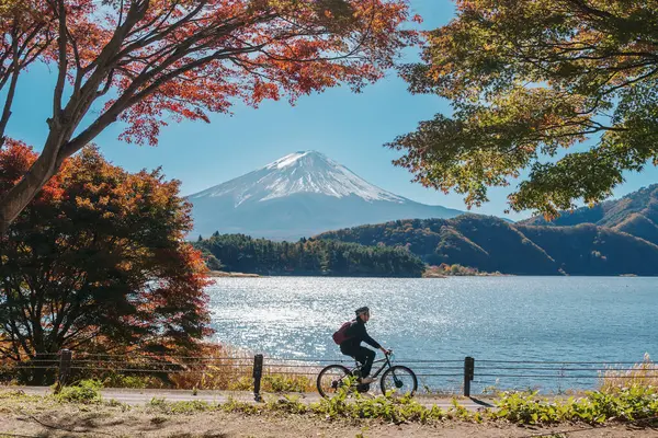 Sonbahar sezonunda Momiji Tüneli 'nde Fuji Dağı manzarası. Fujisan Dağı Kawaguchi Gölü, Yamanashi, Japonya. Turistler için dönüm noktası. Japonya Seyahat, Varış, Tatil ve Fuji Dağı konsepti