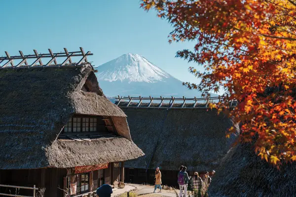 Sonbahar sezonunda Saiko Iyashino Sato Nenba 'da Fuji Dağı manzarası. Fujikawaguchiko Dağı, Yamanashi, Japonya. Turistler için dönüm noktası. Japonya Seyahat, Varış, Tatil ve Fuji Dağı Günü