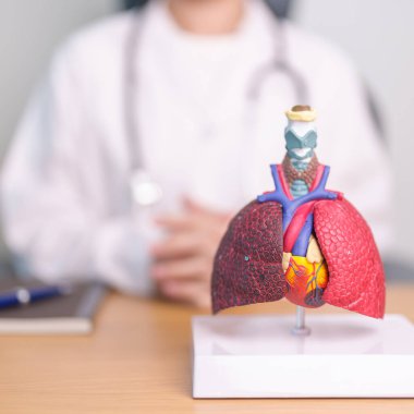 Hastalıklar için Solunum Sistemi Anatomisi Doktoru. Akciğer kanseri, astım, kronik obstrüktif pulmoner ya da KOAH, bronşit, amfizem, kistik fibrozis, bronşizektazi, zatürree ve plevral efüzyon.