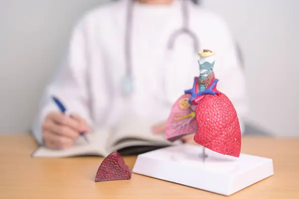 stock image Doctor with Smoker and normal Lung anatomy for Disease. Lung Cancer, Asthma, Chronic Obstructive Pulmonary or COPD, Bronchitis, Emphysema, Cystic Fibrosis, Bronchiectasis, Pneumonia and world Lung day