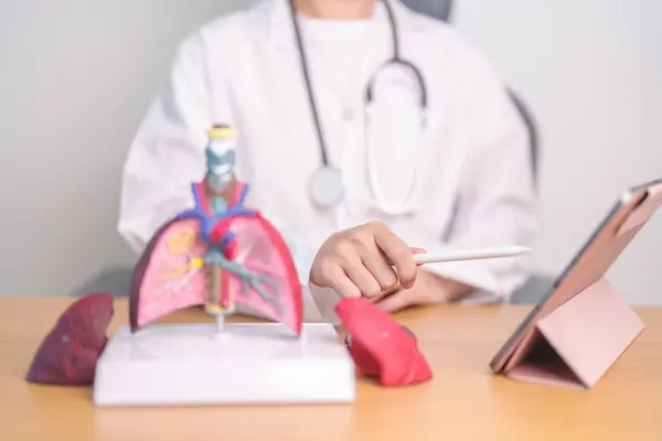 stock image Doctor with Smoker and normal Lung anatomy for Disease. Lung Cancer, Asthma, Chronic Obstructive Pulmonary or COPD, Bronchitis, Emphysema, Cystic Fibrosis, Bronchiectasis, Pneumonia and world Lung day