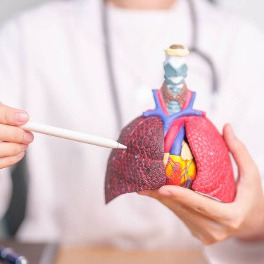 Doktor Point Smoker Lung Hastalığı için anatomi. Akciğer kanseri, astım, kronik obstrüktif akciğer veya kronik akciğer enfeksiyonu, bronşit, amfizem, kistik fibrozis, bronşizektazi, zatürree ve Eylül ayındaki dünya akciğer günü.