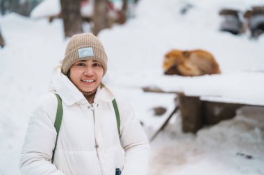 Woman tourist with Cute fox on snow in winter season at Zao fox village, traveler sightseeing Miyagi prefecture. landmark and popular for attraction near Sendai, Tohoku, Japan. Travel and Vacation clipart