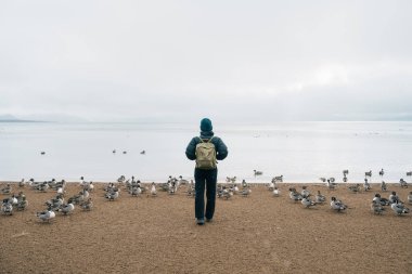 Woman tourist travel Lake Inawashiro in winter, Traveler sightseeing Ducks, Swan and bird in Fukushima Prefecture, Tohoku Region, Japan. Landmark travel and adventure vacation concept clipart