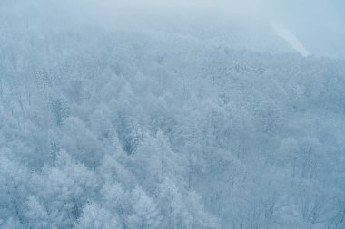 Japonya 'nın Yamagata ilindeki Zao Dağı kayak merkezinde kar canavarının kış günü görüntüsü. Soğuk havayla kaplı kar tozu. Seyahat, macera ve tatil geçmişi