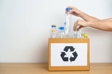 Gönüllü, plastik şişeyi evde ya da ofiste karton kutuya koyuyor. Geri Dönüşüm çöpünü elle ayırmak. Ekoloji, Çevre, Kirlilik, Geri dönüşüm, Atık Yönetimi ve Çöp Ayrıştırma Konsepti