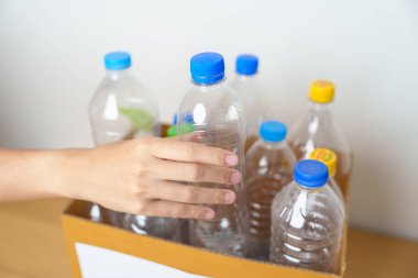 Gönüllü, plastik şişeyi evde ya da ofiste karton kutuya koyuyor. Geri Dönüşüm çöpünü elle ayırmak. Ekoloji, Çevre, Kirlilik, Geri dönüşüm, Atık Yönetimi ve Çöp Ayrıştırma Konsepti