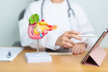Pankreas, Safra kesesi, Bile Kanalı, Duodenum, ince bağırsak ve tablet olan insan pankreatiti anatomisi olan bir doktor. Pankreas kanseri, akut pankreas iltihabı ve sindirim sistemi.