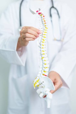 İnsan omurga anatomisi modeli olan bir doktor. Omurilik Bozukluğu ve Hastalık, Sırt Ağrısı, Lumbar, Sacral leğen kemiği, Servikal Boyun, Torasik, Coccyx, Ortopedi, Masaj, Ofis Sendromu ve Sağlık Sendromu