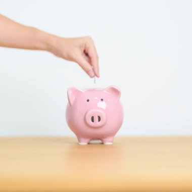 Gelecek Planı, Emeklilik Fonu, Emeklilik Fonu, Yatırım, Servet İşletmeleri ve Mali Konseptler İçin Para Tasarruf. El ele tutuşup domuz kumbarasına yatırmak, Dünya Tasarruf Günü için Para Saymak ve Bağışlamak