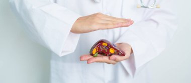 Doctor with human Liver anatomy model. Liver cancer and Tumor, Jaundice, Viral Hepatitis A, B, C, D, E, Cirrhosis, Failure, Enlarged, Hepatic Encephalopathy, Ascites Fluid in Belly and health concept clipart