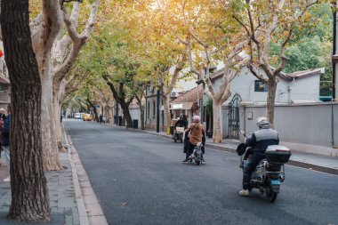 Akçaağaç tüneli olan Anfu yolu. Şangay 'da turizm turizmiyle ünlü. 5 Aralık 2024, Şangay, Çin.