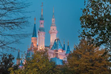 Şangay Disneyland Kalesi. Şehir simgesi ve turizm turizmi için popüler. 6 Aralık 2024, Şangay, Çin.