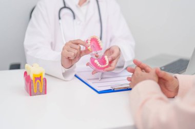 Yaşlı Hasta Diş Hastalıkları Danışmanı, Kıdemli Sağlık Sağlığı Teşhisi. Ağız çürüğü için anatomi diş modeli, tartarı kazıyın. Mart Sağlığı, Diş Hekimleri Günü, Takma Diş Konsepti 