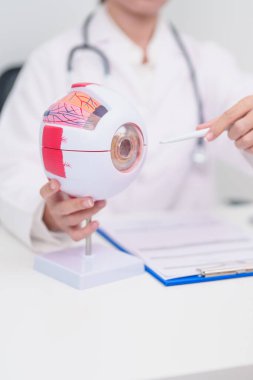 Yaşlı Hasta Göz Hastalıkları Uzmanı, Kıdemli Tıbbi Teşhis. Katarakt, Glaukoma, Yaşla İlgili Maküler Dejenerasyon, Diyabet Retinopati, Vitreöz, Sağlık Konsepti için Anatomi Göz Modeli