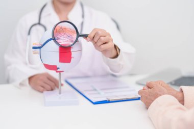 Yaşlı Hasta Göz Hastalıkları Uzmanı, Kıdemli Tıbbi Teşhis. Katarakt, Glaukoma, Yaşla İlgili Maküler Dejenerasyon, Diyabet Retinopati, Vitreöz, Sağlık Konsepti için Anatomi Göz Modeli