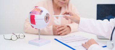 Yaşlı Hasta Göz Hastalıkları Uzmanı, Kıdemli Tıbbi Teşhis. Katarakt, Glaukoma, Yaşla İlgili Maküler Dejenerasyon, Diyabet Retinopati, Vitreöz, Sağlık Konsepti için Anatomi Göz Modeli