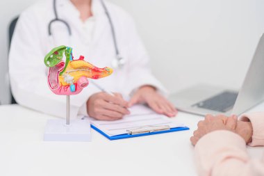 Pankreas, safra kesesi, Bile Kanalı, Duodenum, ince bağırsak için yaşlı hasta muayenesi. Pankreas kanseri, Akut ve Kronik pankreas iltihabı, sindirim sistemi ve sağlık hizmetleri